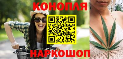 прущие грибы Кунгур