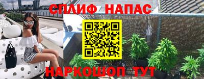 прущие грибы Кунгур