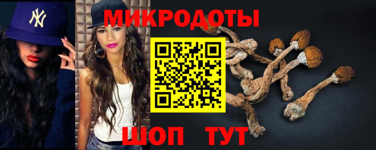 Озёры  Псилоцибиновые грибы Magic Shrooms  где можно купить наркотик  Вход с VPN 